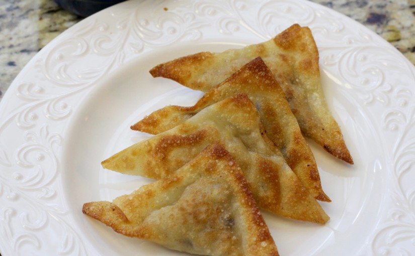 Pork Wontons